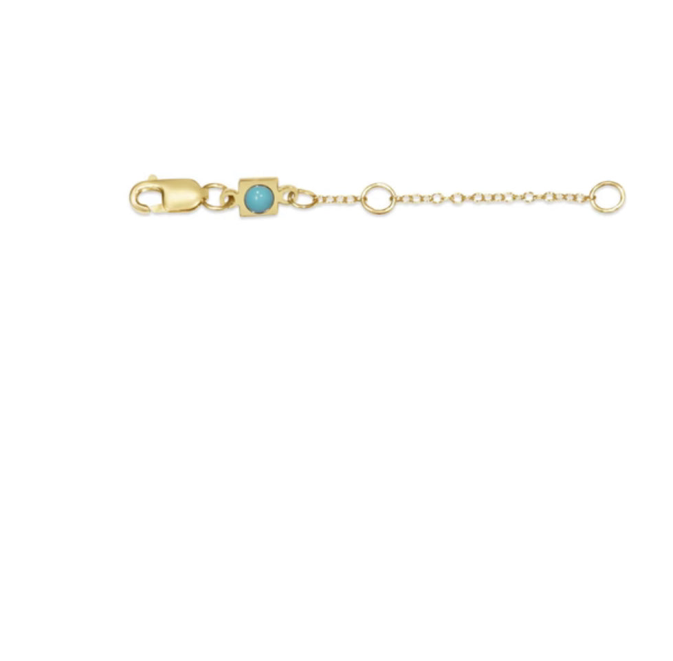 Enewton Gold 2” Necklace Extender