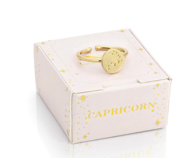 Lucky Feather Zodiac Signet Ring - Capricorn