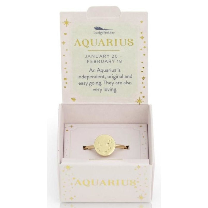 Lucky Feather Zodiac Signet Ring - Aquarius