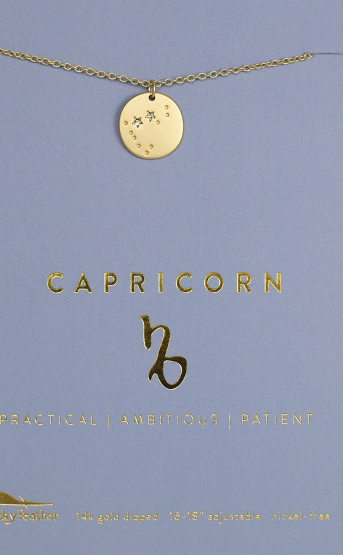 Lucky Feather Zodiac Necklace - Capricorn